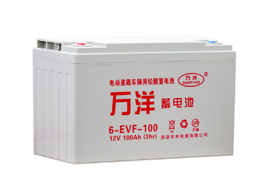 万洋电池6-EVF-100
