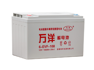万洋电池6-EVF-108