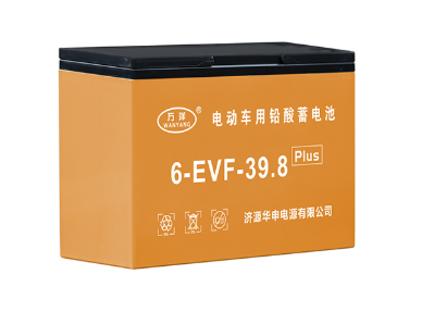 万洋电池6-EVF-39.8Plus