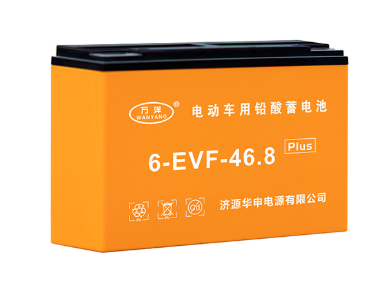 万洋电池6-EVF-46.8Plus