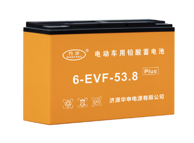 万洋电池6-EVF-53.8