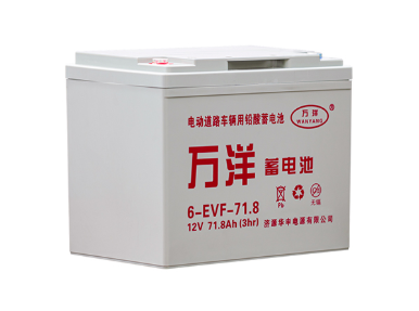 万洋电池6-EVF-71.8