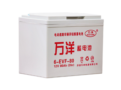 万洋电池6-EVF-80